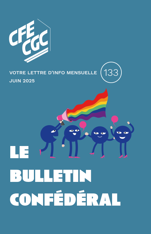 n°133 du 17 juin 2025